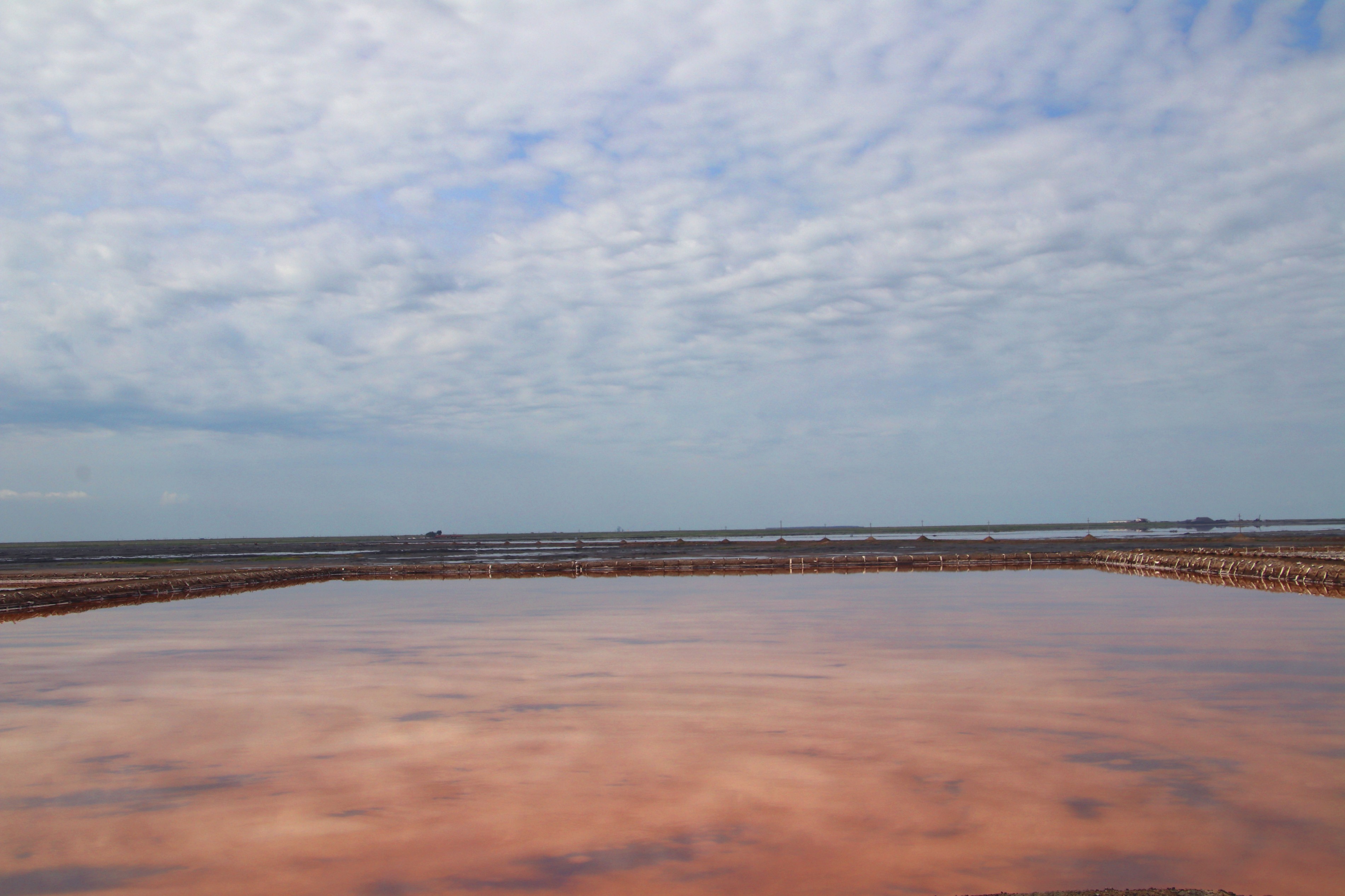 內蒙古額吉淖爾制鹽有限公司真空精制鹽鹽蒸發(fā)系統(tǒng)維修項目采購中標公示