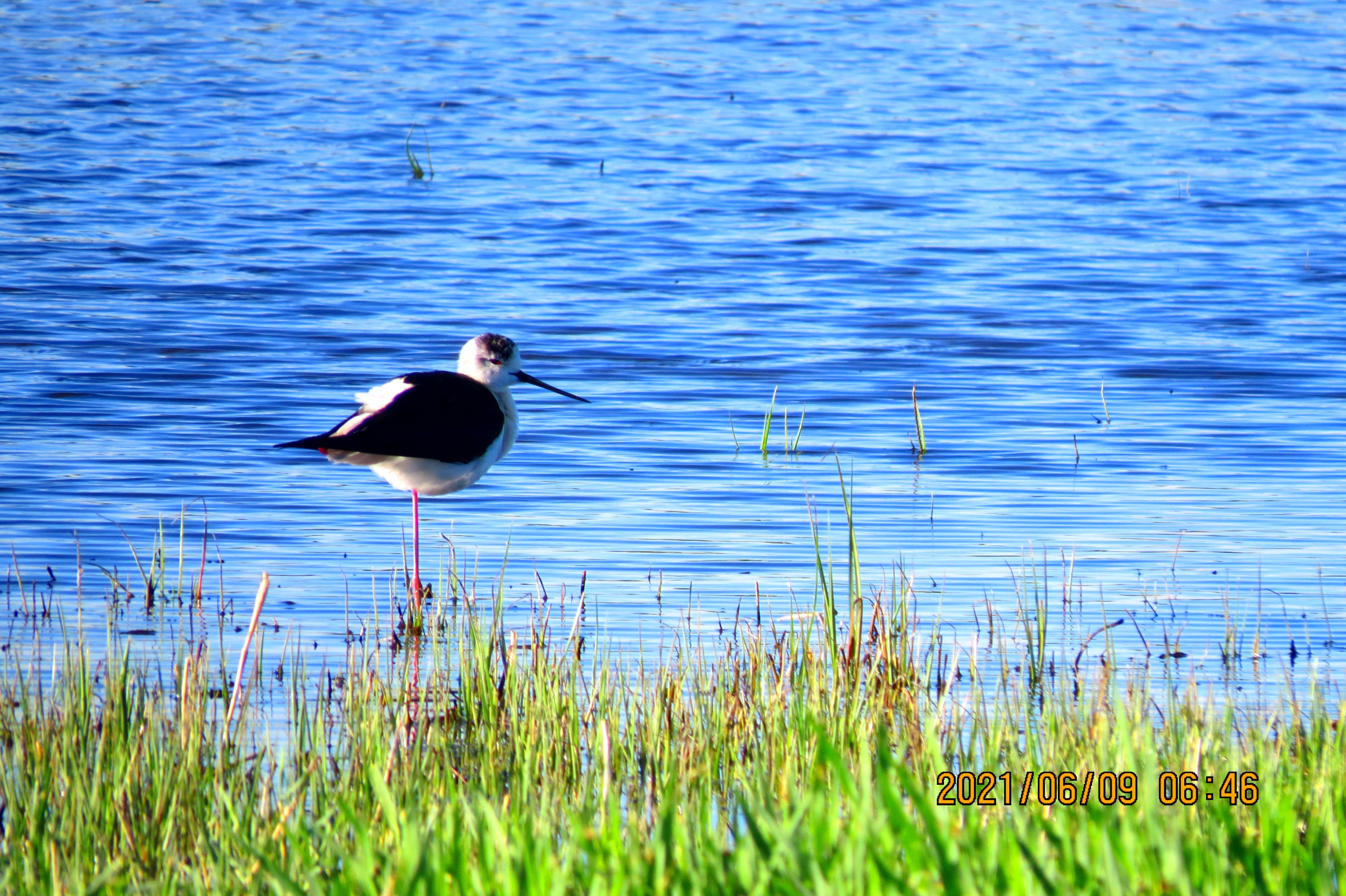 內(nèi)蒙古額吉淖爾制鹽有限公司呼和浩特白塔機場媒體廣告發(fā)布服務采購項目中標公示