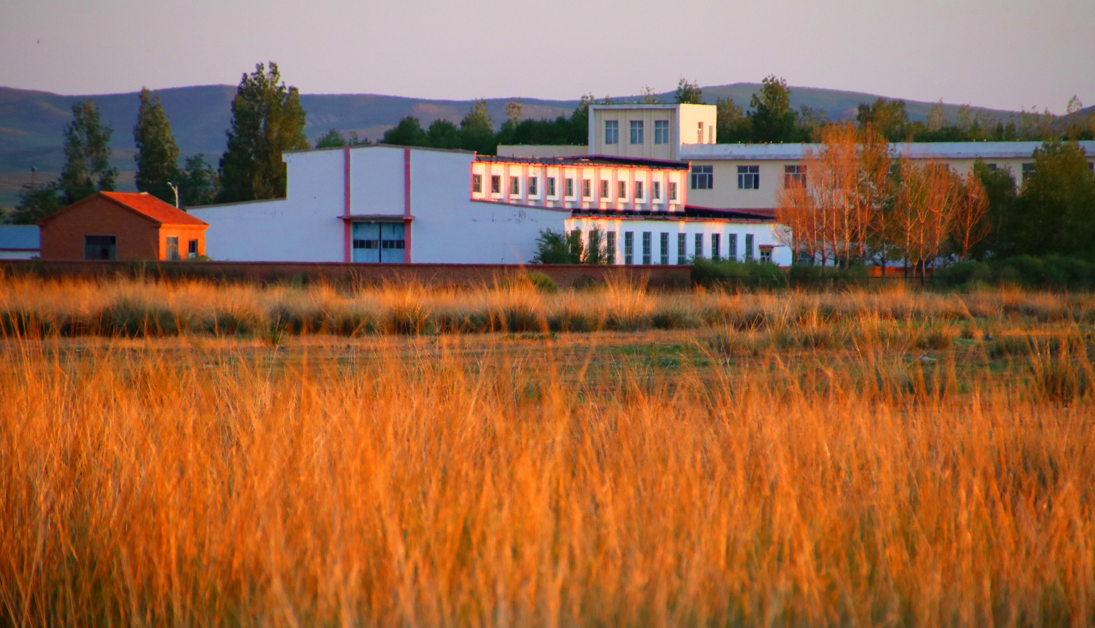 內(nèi)蒙古額吉淖爾制鹽有限公司45t/h鍋爐噴鈣脫硫設(shè)備及配套服務(wù)項(xiàng)目【網(wǎng)上競(jìng)價(jià)】中標(biāo)公示