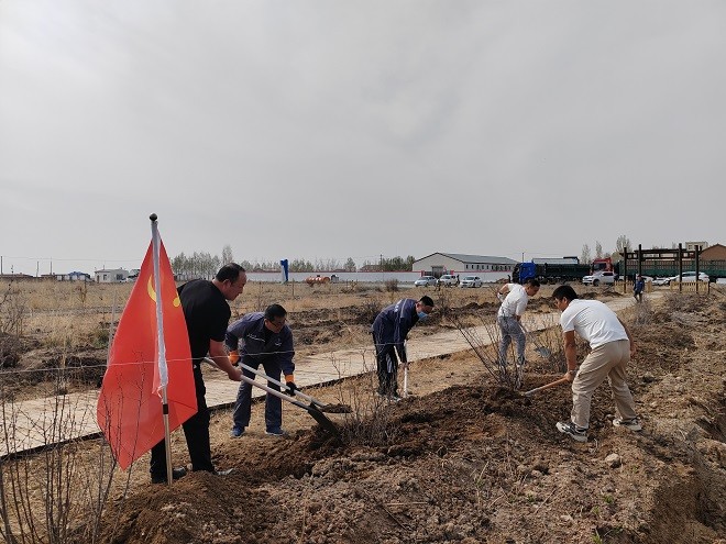 額鹽公司組織開展“凝心聚力促發(fā)展，實干擔當建新功”植樹活動