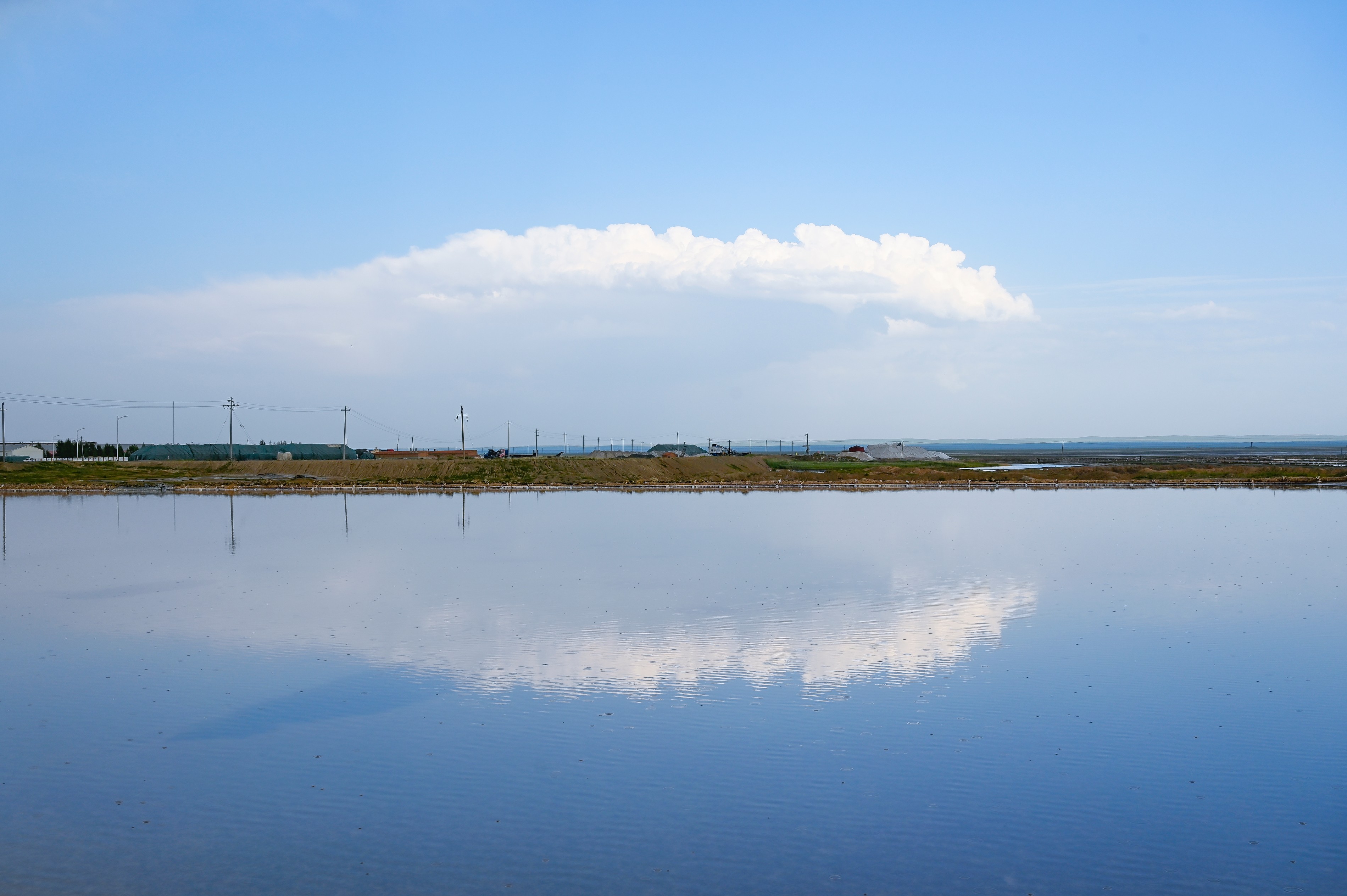 成交結(jié)果確認公告