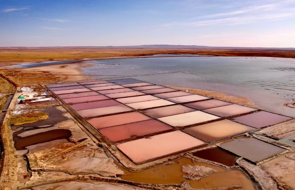 關(guān)于額吉淖爾大青鹽地理標(biāo)志品牌提升與推廣過程中的創(chuàng)新產(chǎn)出與高質(zhì)量專利布局技術(shù)服務(wù)網(wǎng)上比價采購公告