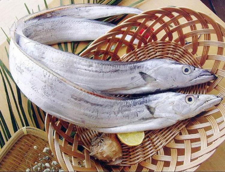 帶魚