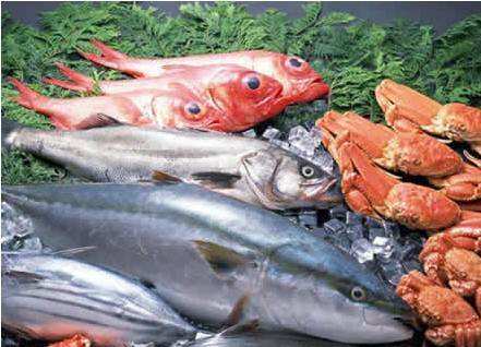 海魚
